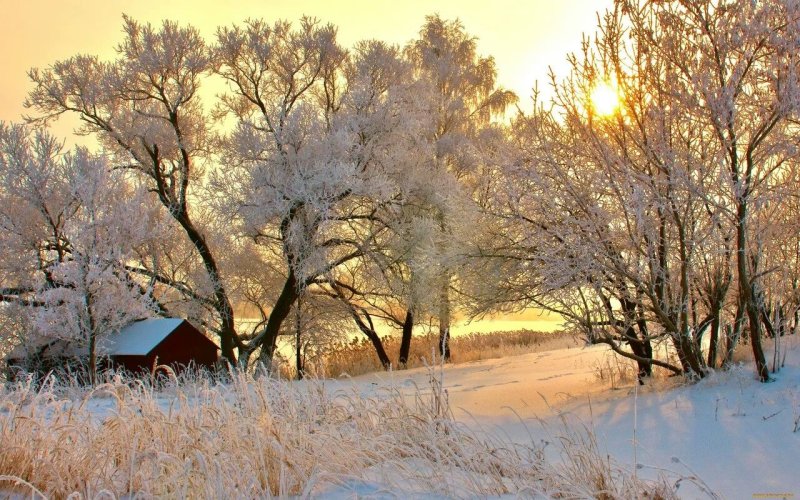 Ранняя зима