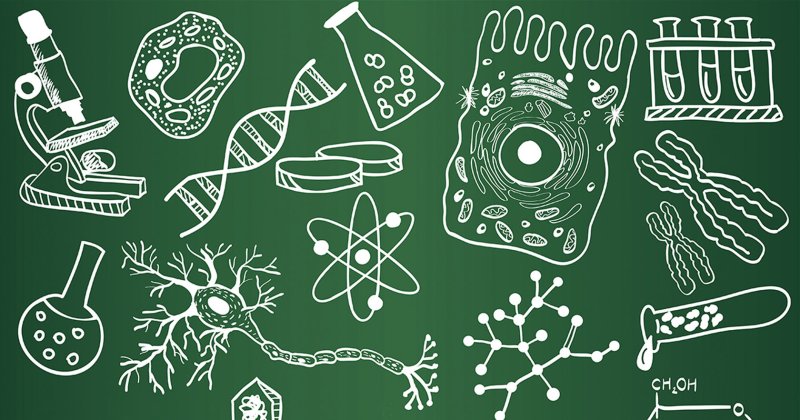 Рисунок на тему биология