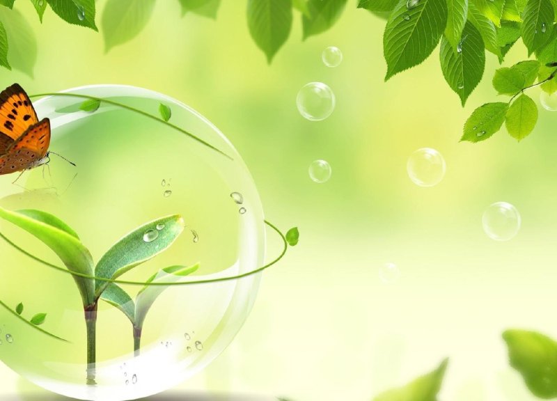 Красивый экологический фон для презентации
