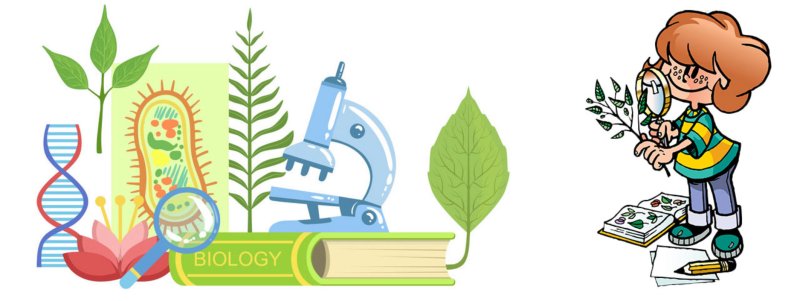 Биология рисунки