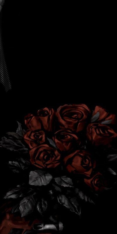 Красивые розы на черном фоне