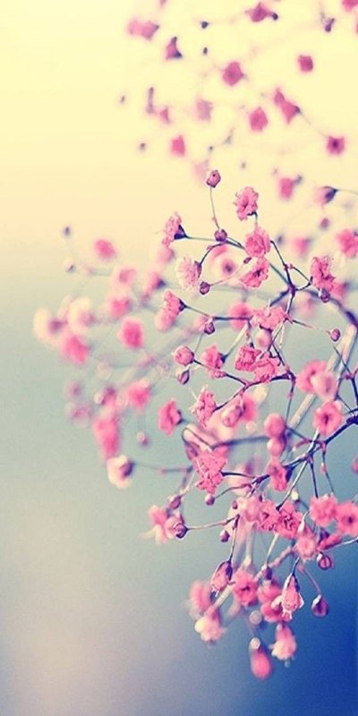 Нежные цвета