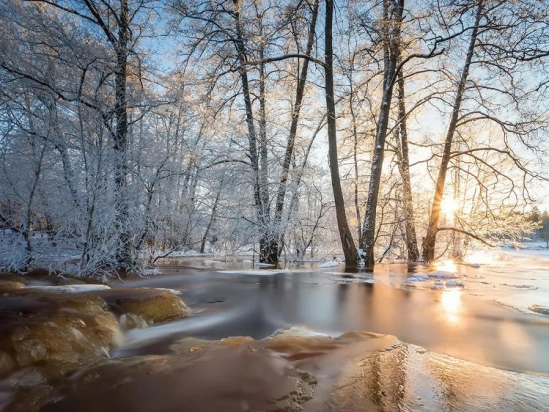 Ранняя Весна