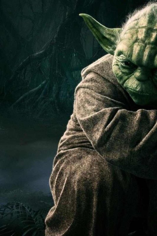 Мистер йода