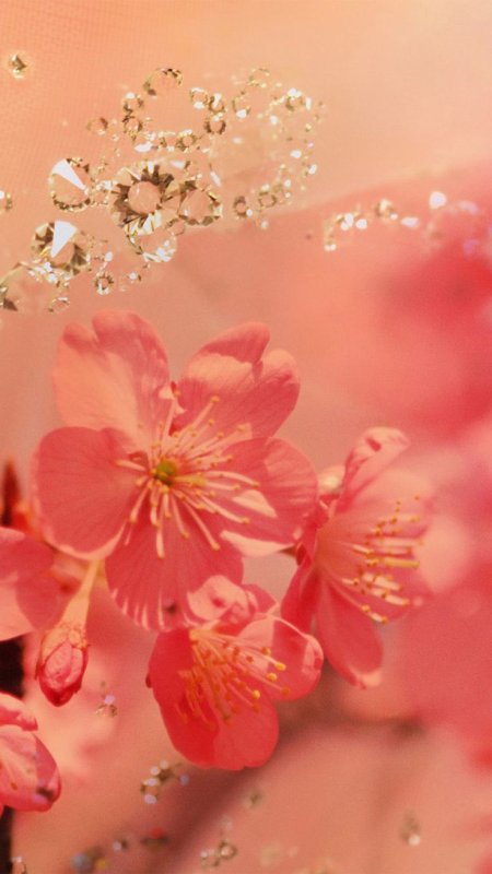 "фон на телефон красивые"