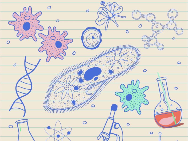 Картинки по биологии