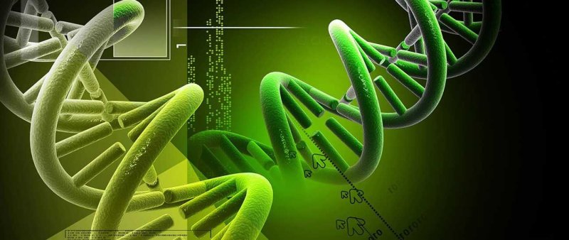 Картинки на тему биология