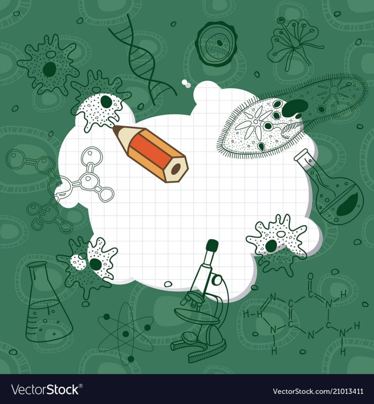 Школьная доска биология