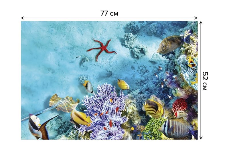 Подводный мира