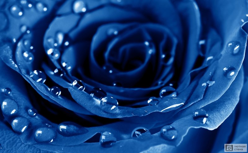 Красивые картинки