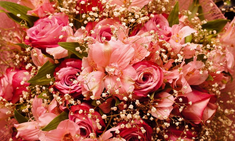 Шикарные цветы