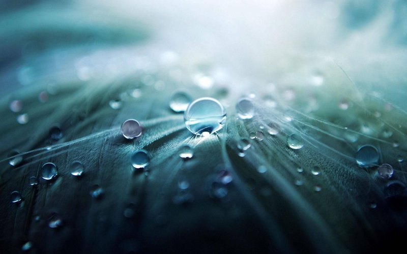 Телевизор Erisson ЖК 24lea72t2