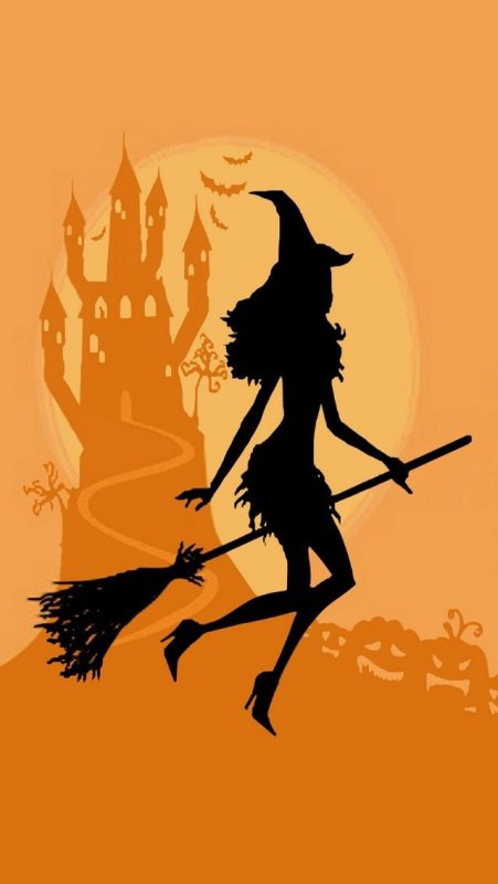 Красивая ведьма на метле