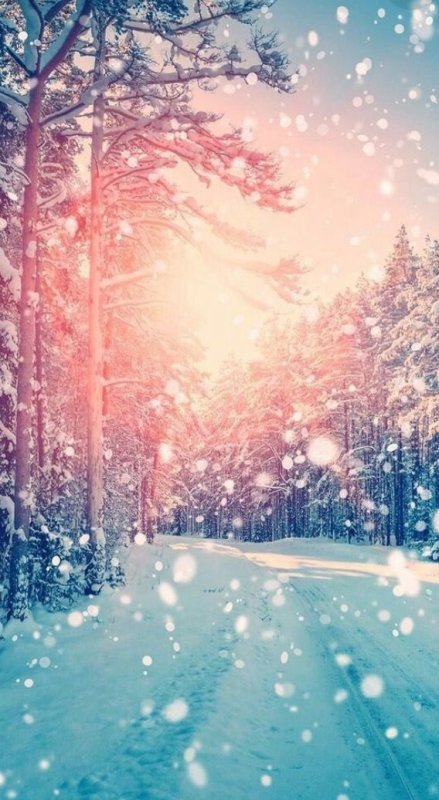 Зимний пейзаж вертикальный