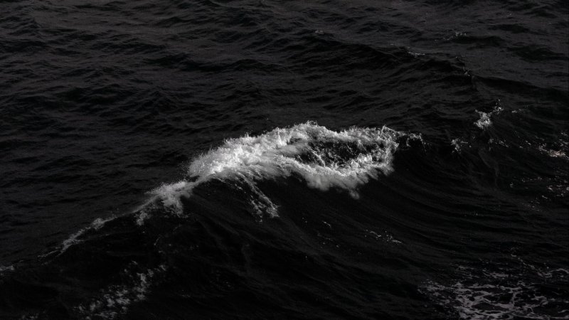 Черный океан