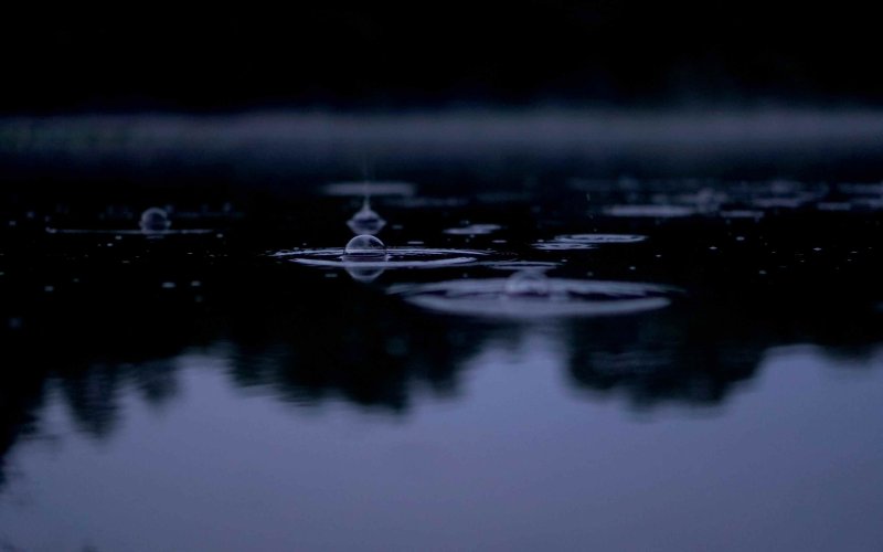 Черная вода