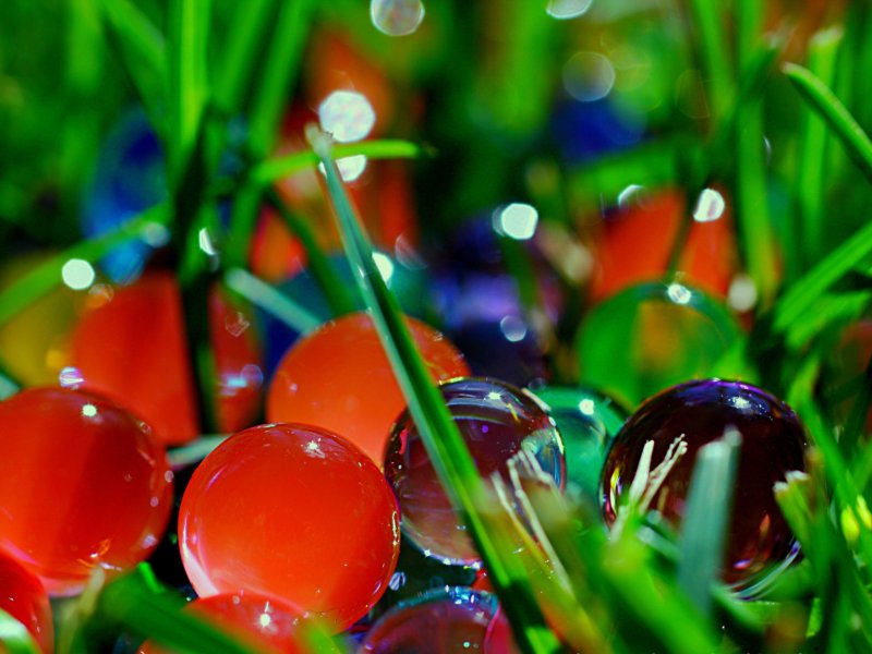 Яркие обои на рабочий стол