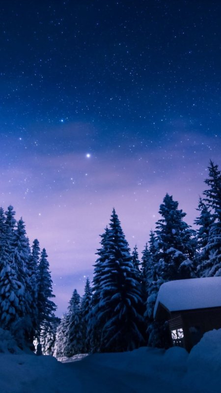 Зимний ночной пейзаж