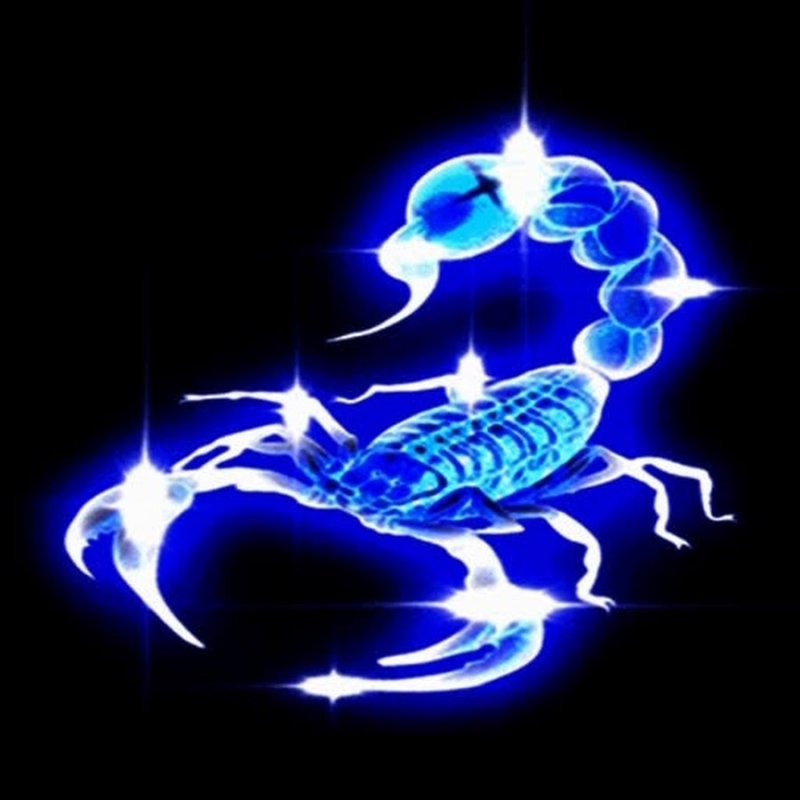 Синий Скорпион