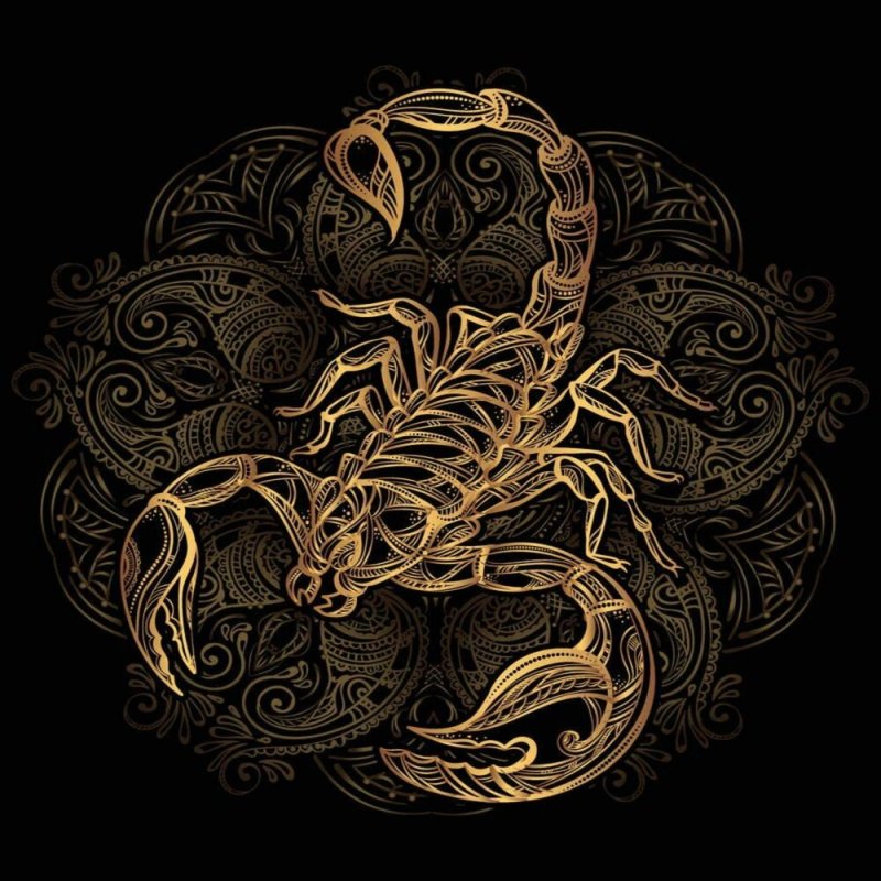 Скорпион вектор