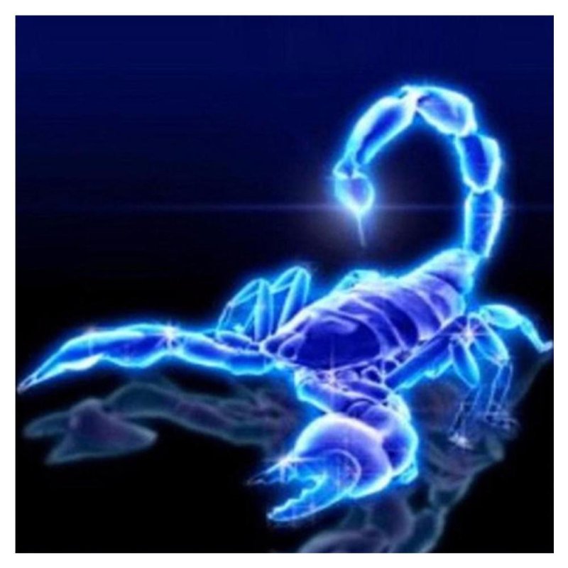 Скорпион картинки