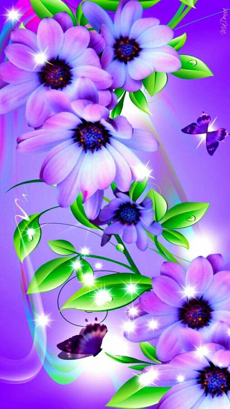 Красивые яркие цветы