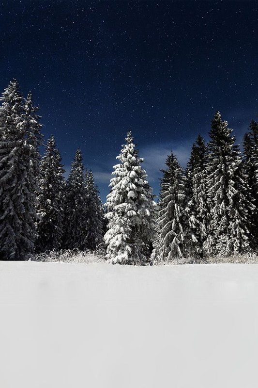 Зимние заставки на телефон