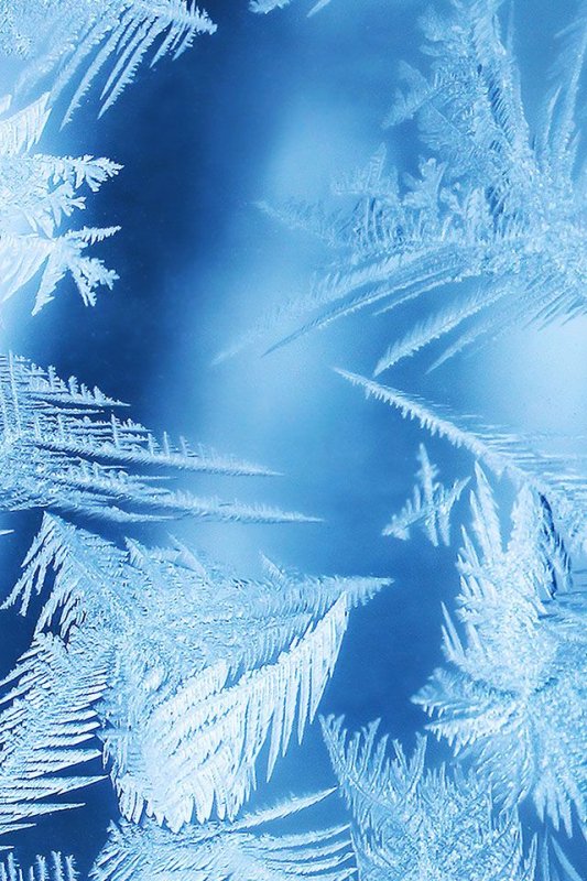 Морозные узоры