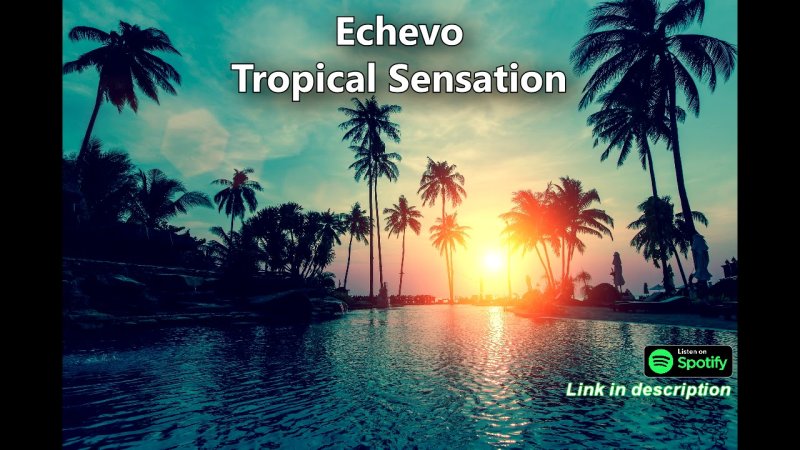 Лето пальмы