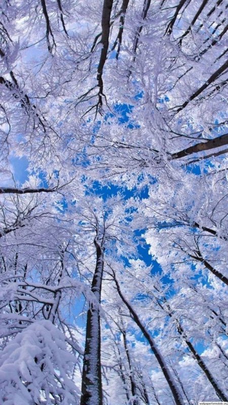 Зимние картинки