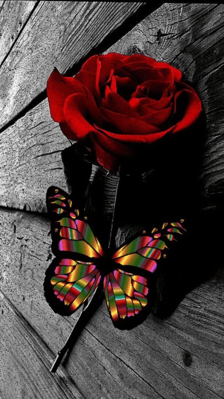 Красивые картинки на аву