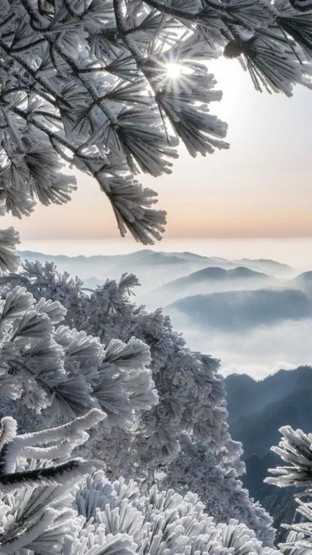 Зимний пейзаж вертикальный