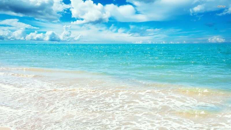 Природа море