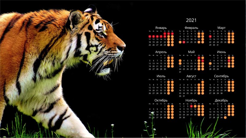 Заставка на рабочий стол календарь