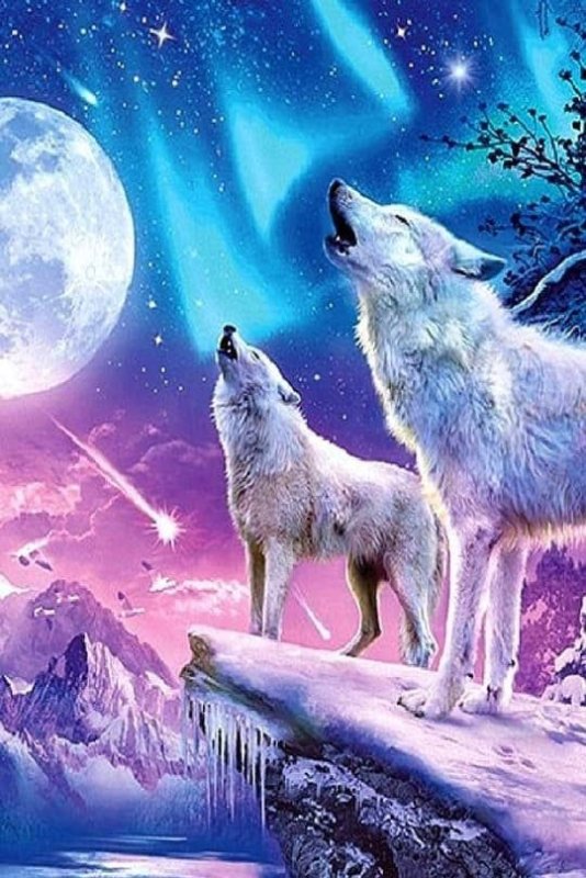 Красивый волк