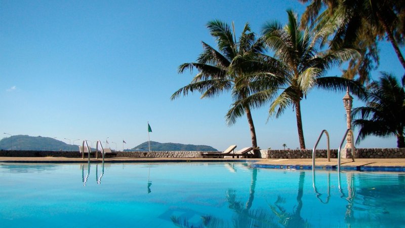 Бассейн пальмы