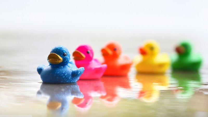 Разноцветные утята