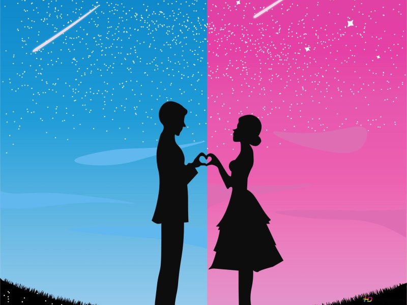 Силуэт мальчика и девочки