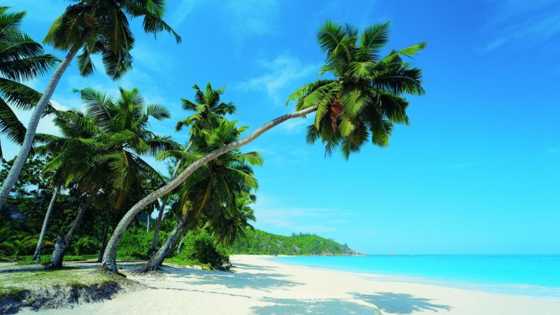 Остров бакарди Доминикана