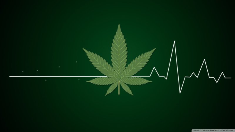 Конопля фон