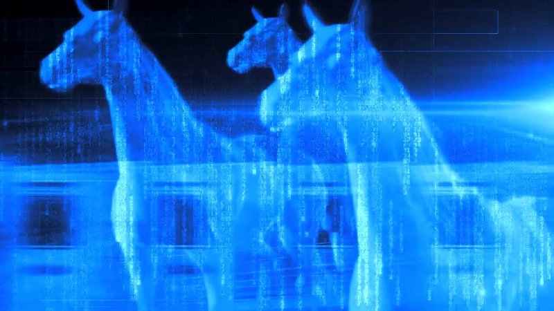 Заставка программы вести с конями