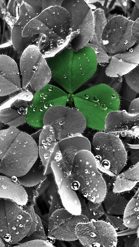 Фоновые картинки для смартфона