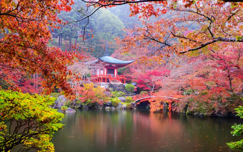 Киото Япония природа
