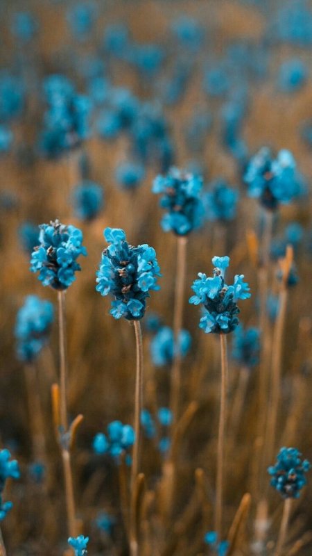 Бирюзовая природа