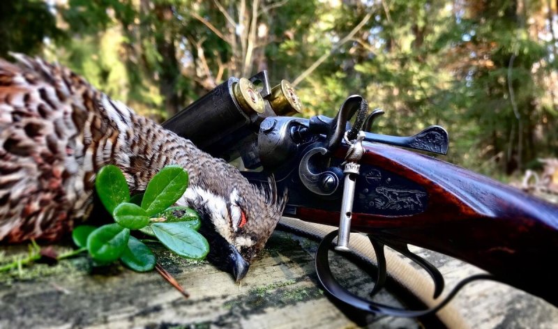 Красивые ружья для охоты