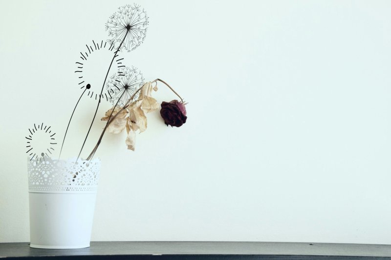 Цветок в горшке Минимализм
