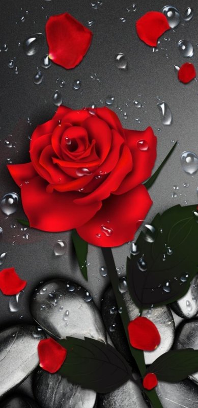 Красивые темы на телефон