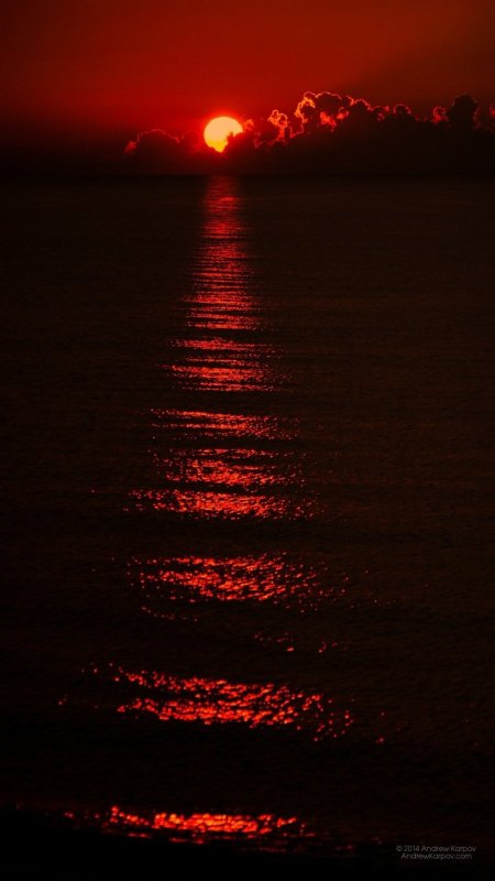 Черный закат