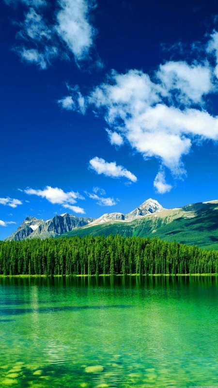 Заставка природа