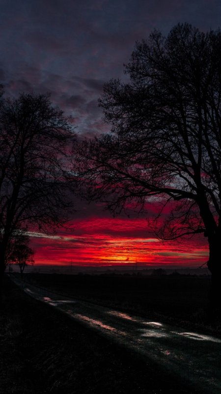 Багровый закат